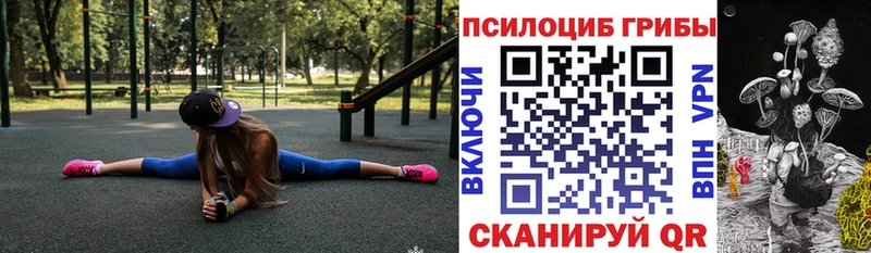 Галлюциногенные грибы Psilocybine cubensis  Камышлов 