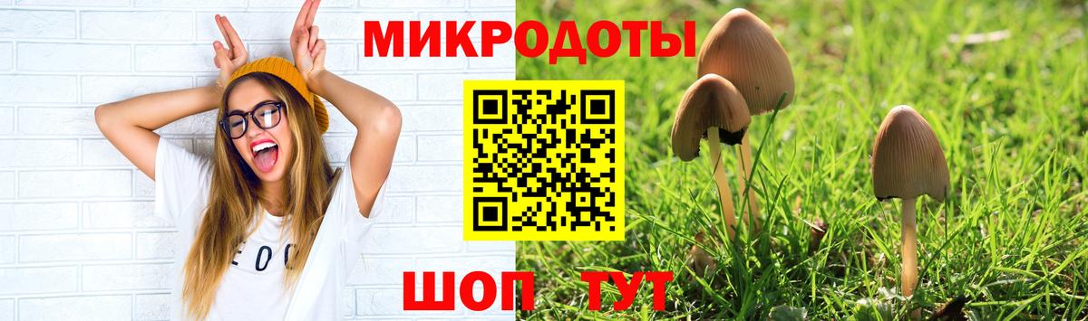 Псилоцибиновые грибы Cubensis Камышлов