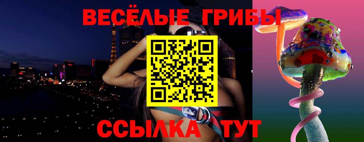 Камышлов  Псилоцибиновые грибы GOLDEN TEACHER  Вход с VPN  Галлюциногенные грибы мицелий 